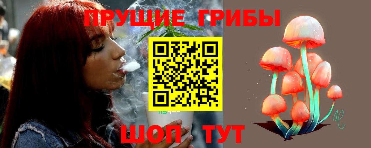 Ступино  Галлюциногенные грибы Psilocybe  Вход с VPN 